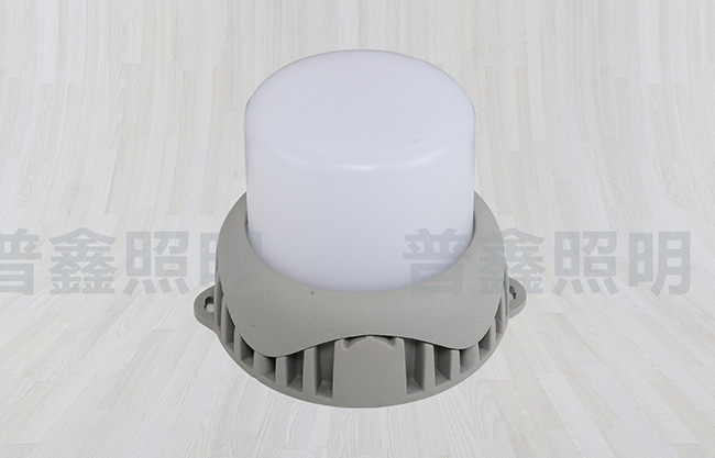點(diǎn)光源系列 DGY-040